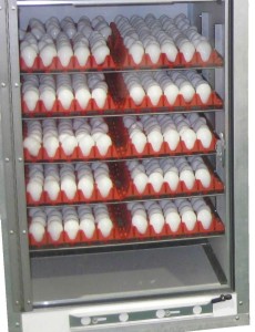 Incubator for Chicken